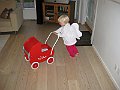 IMG_8491
