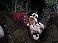 IMG_8761