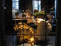 IMG_8772