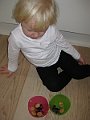 IMG_8736