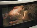 IMG_9099