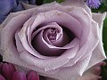 IMG_9788