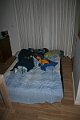 IMG_8876