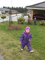 IMG_0341
