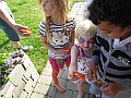 IMG_1217
