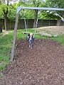 IMG_0810