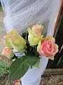 IMG_1841