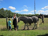 IMG_2229