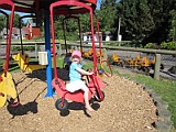 IMG_2593