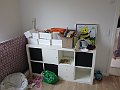 IMG_3517