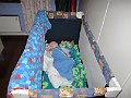 IMG_3944
