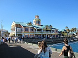 IMG_4336