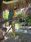IMG_4343