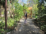IMG_4349