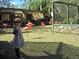 IMG_4377
