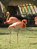 IMG_4380