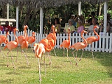 IMG_4402