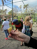 IMG_4444