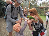 IMG_4461