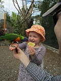 IMG_4486