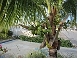 IMG_4750