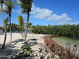 IMG_4865