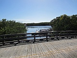 IMG_4966