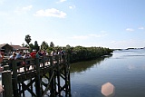 IMG_0600