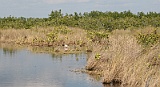 IMG_1406