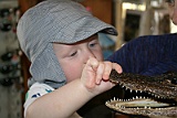 IMG_1506