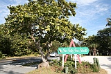 IMG_1537