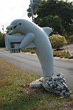 IMG_1551