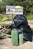 IMG_1556