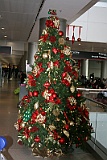IMG_1575