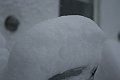 IMG_1680