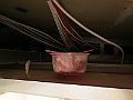 IMG_0032