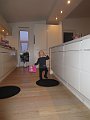 IMG_0870