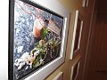 IMG_0608