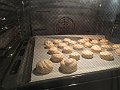 IMG_0704