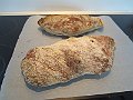 IMG_1232