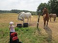 IMG_2384
