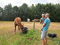 IMG_2386