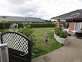 IMG_2711