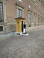 IMG_2599