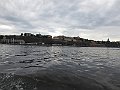 IMG_2617