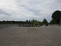 IMG_2641