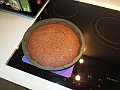 IMG_2908