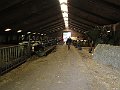 IMG_2927