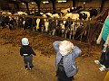 IMG_2929