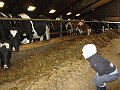IMG_2931